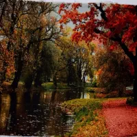 فرش دست بافت