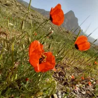 راهنمایی