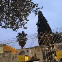 کارگر برای تبلیغات