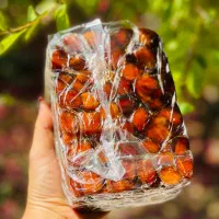 تامین کننده خرمای جم