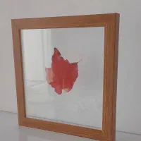 تابلو زیبا برگ پاییزی|تابلو، نقاشی، عکس|بیرجند, |دیوار