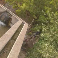 پرورش ماهی|فروش دفتر صنعتی، کشاورزی، تجاری|بکتاش, |دیوار