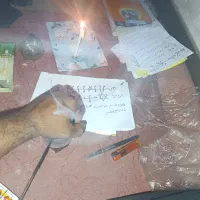 کتب دعا