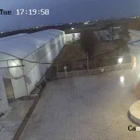 اجاره گلخانه ۲۵۰۰ متری|اجارهٔ دفتر صنعتی، کشاورزی، تجاری|بهار, |دیوار