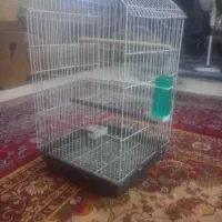قفس طوطی
