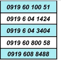 0919.20.60.432|سیمکارت|پرند, فاز ۱|دیوار