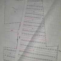 فروش زمین روبرو گلها|فروش زمین و ملک کلنگی|فیروزآباد (فارس), |دیوار