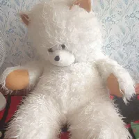 خرس بزرگ