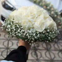 گل آرایی ماشین عروس،دسته گل عروس،طاق ترحیم تشریفات|گل و گیاه طبیعی|مشهد, امیر|دیوار