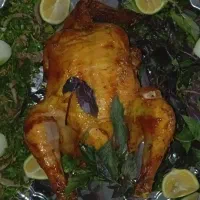 استخدام نیرو آقا  جهت کار در کبابی