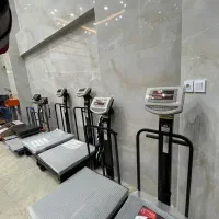 انواع باسکول