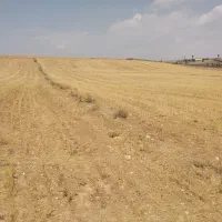 زمین باغی 1000متری کودیان|فروش زمین و ملک کلنگی|شیراز, کودیان|دیوار