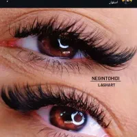 خدمات و آموزش تخصصی اکستنشن مژه لیفت لمینت|خدمات آرایشگری و زیبایی|اصفهان, عسگریه|دیوار