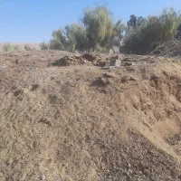 کود گوسفندی|خدمات باغبانی و درختکاری|جلگه ماژان, |دیوار