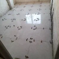 نیازمند کاشیکار