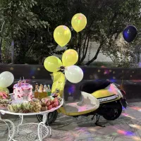 موتور پاکشتی وینو درحد