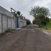 خریدفروش باغ و باغچه زیر نظرکارشناس و وکیل قانونی|فروش زمین و ملک کلنگی|تهران, امیریه|دیوار