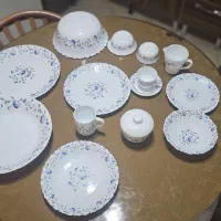 چینی و ارکوپال|ظروف سرو و پذیرایی|بیجار, |دیوار