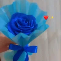 گل ابدی یادگاری واسه روزمادر|گل مصنوعی|تربت جام, المهدی|دیوار