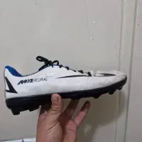 کفش ورزشی|کیف، کفش، کمربند|تبریز, |دیوار