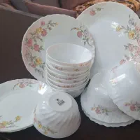 ظروف پارس اوپال
