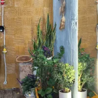 واگذاری کافی شاپ به صورت کامل با تجهیزات و دکور|کافی‌شاپ و رستوران|اصفهان, محمودیه|دیوار