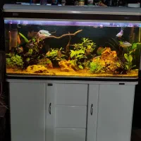 اکواریوم ماهیران