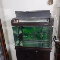 آکواریوم شرکتی ماهیران شیشه خم پمپ بخاری تصفیه|ماهی|گلستان (تهران), |دیوار