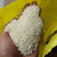 برنج گیلان مازندران/ عمده تناژ/ هاشمی طارم صدری|خوردنی و آشامیدنی|تهران, فلسطین (میدان انقلاب)|دیوار