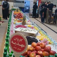 کاروان کربلا اعزام ۳ دی ماه|تور و چارتر|قم, آزادگان|دیوار