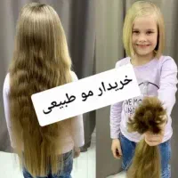 خریدار اصلی مو بدون واسطه و دلال
