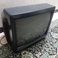 تلویزیون