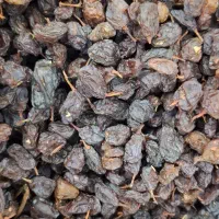 کشمش مرغوب|خوردنی و آشامیدنی|تاکستان, |دیوار