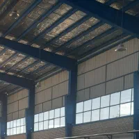 رنگ ونقاشی سوله وساختمان|خدمات پیشه و مهارت|نائین, |دیوار