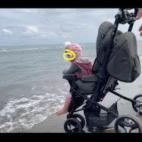 کالسکه+کریر+آغوشی(هدیه)