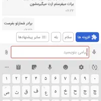 کبوتر رنگی دوکت|پرنده|بندر ماهشهر, |دیوار