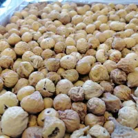 فروش انجیرهای صدیک پرک و سهآ مستقیم از باغدار|خوردنی و آشامیدنی|تهران, دانشگاه شریف|دیوار