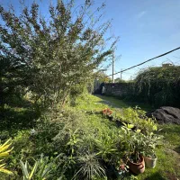 فروش زمین ۳۶۰ متری با بنا ۷۵ متری احداثی|فروش خانه و ویلا|خرم‌آباد (تنکابن), |دیوار