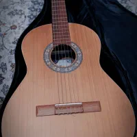 گیتار پارسی P80