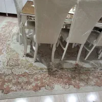 فرش سالم ۹ متری