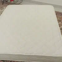 تشک پارامیس بافت لیلیان یزد