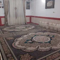 فروشی فروشی|فرش|بروجرد, |دیوار