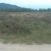 فروش فوری زمین در آقاسید شریف، زیر قیمت