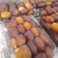 خرما و رطب ولپه محلی