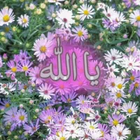 هرس برش سربرداری وقطع درختان باغی ومنزل|خدمات باغبانی و درختکاری|تربت جام, اسماعیل آباد|دیوار