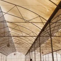 فروش سازه دسته دوم گلخانه گاتیک طرح اسپانیایی|فروش دفتر صنعتی، کشاورزی، تجاری|رامهرمز, |دیوار