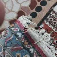 فرش 12 متری|فرش|کرمانشاه, |دیوار