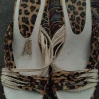 کفش زنانه|کیف، کفش، کمربند|گلبهار, شهر جدید گلبهار|دیوار