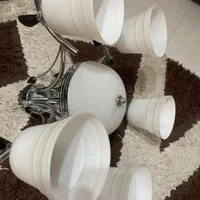 اوستر پنج شاخه