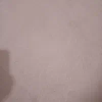 موکت تمیز ودرحد نو